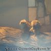 DSC00099