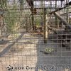 DSC00105