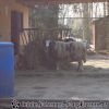 DSC00116