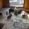 DSC00118