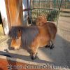 DSC00120