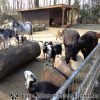 21.02.2012<br>Tierpark<br>[Hamm]