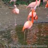 DSC00232