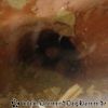 DSC00237