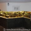 DSC00241