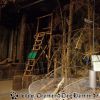 DSC00249