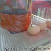 DSC00251