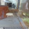 DSC00252