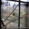 DSC00266