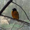 DSC00267