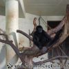 DSC00269