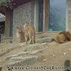 DSC00284