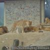 DSC00285