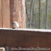 DSC00292