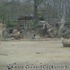 DSC00297