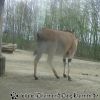 DSC00299