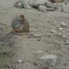 DSC00311
