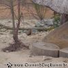 DSC00313
