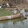 DSC00316