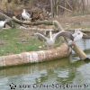 DSC00317