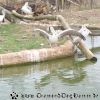 DSC00318