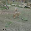 DSC00323