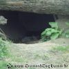 DSC00335