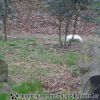 DSC00343