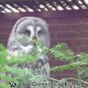 DSC00358