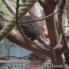 DSC00370