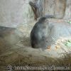 DSC00404