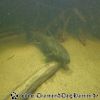 DSC00410