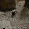 DSC00437