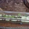 DSC00439