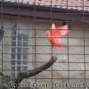 DSC00457