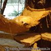 DSC00459