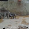 DSC00907