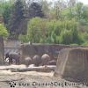 DSC00927