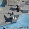 DSC00938