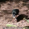 DSC00945