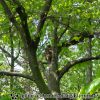 DSC00946