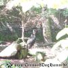 DSC00947