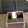 DSC00950