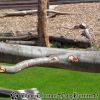 DSC00966