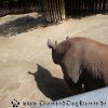 DSC00981
