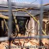 DSC00990