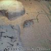 DSC00995