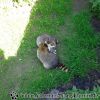 DSC00996