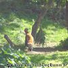 DSC01004