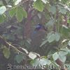 DSC01011
